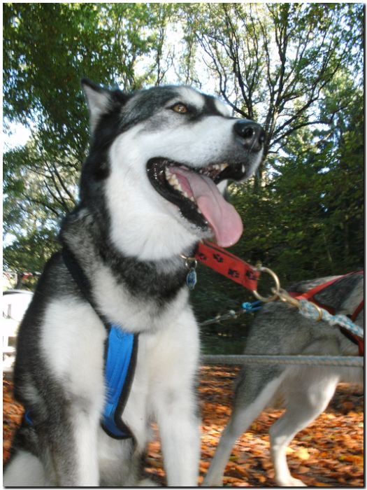 Tour Odenwald 097.jpg